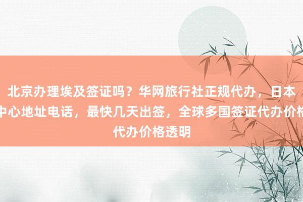 北京办理埃及签证吗？华网旅行社正规代办，日本签证中心地址电话，最快几天出签，全球多国签证代办价格透明